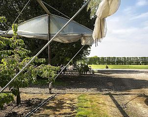 Verblijf 631201 - Vakantiewoning Zeeuws-Vlaanderen - VZ893 Groepsaccommodatie in Hulst