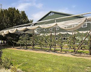 Verblijf 631201 - Vakantiewoning Zeeuws-Vlaanderen - VZ893 Groepsaccommodatie in Hulst