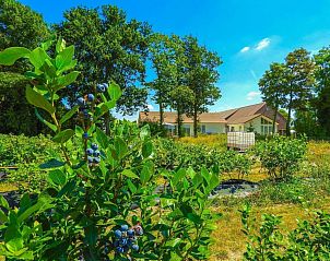 Unterkunft 631311 - Ferienhaus Zeeuws-Vlaanderen - VZ206 Vakantiehuisje Sluis