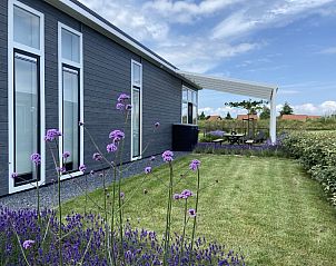 Unterkunft 640605 - Ferienhaus Zuid-Beveland - Vakantiehuis Ruisweg 83