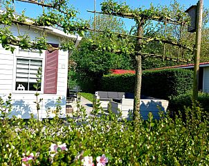 Unterkunft 640827 - Ferienhaus Zuid-Beveland - Vakantiehuis Gemütliches Chalet mit Terrasse