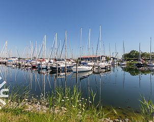 Unterkunft 642043 - Ferienhaus Zuid-Beveland - ZE1545