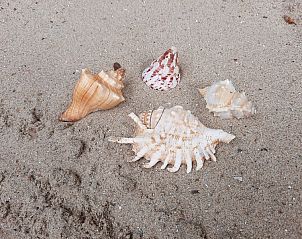 Verblijf 6601206 - Chalet Schouwen-Duiveland - Chalet Sunrise met prive strandtuin