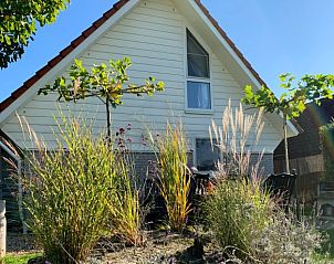 Verblijf 661217 - Vakantiewoning Goeree-Overflakkee - ZeeLandZon met jacuzzi en sauna