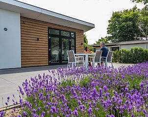 Unterkunft 6801103 - Ferienhaus Noordzeekust - «Deluxe»