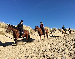 Verblijf 680111 - Vakantiewoning Noordzeekust - Bungalowpark Puik en Duin Vakantiehuis nr 33