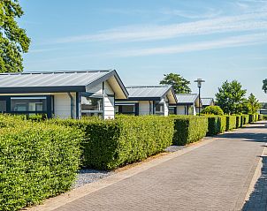 Unterkunft 6801124 - Ferienhaus Noordzeekust - EuroParcs Noordwijkse Duinen