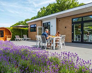 Unterkunft 6801124 - Ferienhaus Noordzeekust - EuroParcs Noordwijkse Duinen