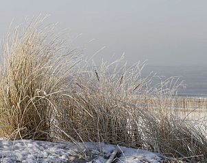 Unterkunft 6801126 - Chalet Noordzeekust - 233044