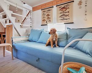 Unterkunft 680171 - Ferienhaus Noordzeekust - Vakantiehuis Kompaktes modernes Ferienhaus 120 Meter vom Mee