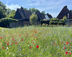 Unterkunft 680241 - Ferienhaus Noordzeekust - Familiehuis in Noordwijkerhout