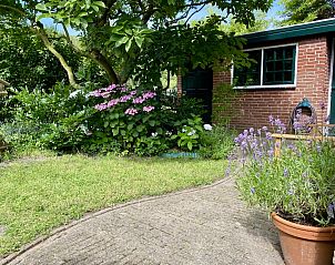 Unterkunft 680241 - Ferienhaus Noordzeekust - Familiehuis in Noordwijkerhout