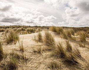 Verblijf 680415 - Strandhuis Noordzeekust - HaagseStrandhuisjes 5 pers