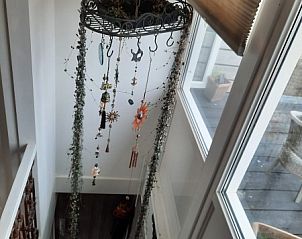 Guest house 681941 - Holiday property Noordzeekust - Vakantiehuis aan zee