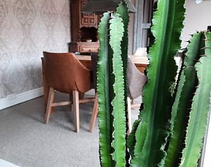 Guest house 681941 - Holiday property Noordzeekust - Vakantiehuis aan zee