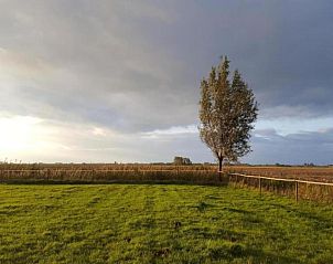 Verblijf 690349 - Vakantiewoning Voorne Putten/Hoekse waard - Standaard 211