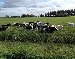 Verblijf 690349 - Vakantiewoning Voorne Putten/Hoekse waard - Standaard 211
