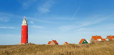 Texel